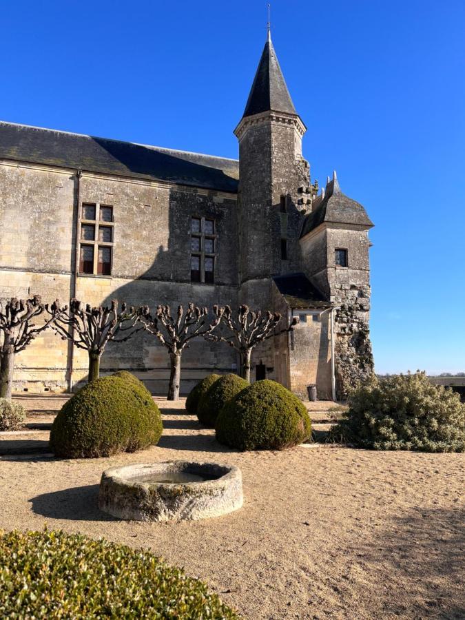 Maisons D'Hotes Du Chateau Au Grand Pressigny Le Grand-Pressigny エクステリア 写真